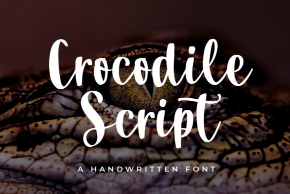 Bring Your Creative Vision to Life with Crocodile Script