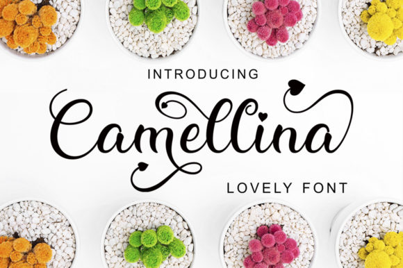 Camellina Script: A Clean and Beautiful Script Font for Modern Creators