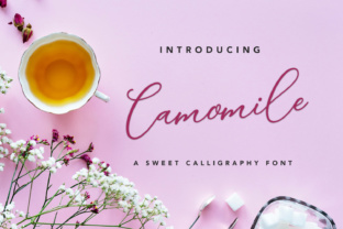 Camomile Script: A Designer's Guide to This Elegant Typeface