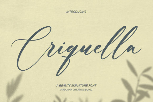 Discover Criquella Script: Your Go-To for Elegant Branding