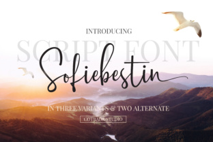 Sofiebestin Script: The Modern Handwritten Font with Personality
