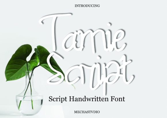 Tamie Script: The Versatile Script Font for Modern Branding